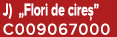 J) „Flori de cire ” C009067000