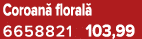 Coroan floral  6658821 103,99