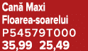 Can Maxi Floarea soarelui P54579T000 35,99 25,49