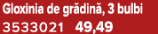 Gloxinia de gr din , 3 bulbi 3533021 49,49