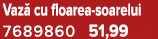 Vaz cu floarea soarelui 7689860 51,99