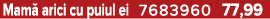 Mam arici cu puiul ei 7683960 77,99