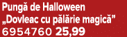 Pung de Halloween „Dovleac cu p l rie magic ” 6954760 25,99