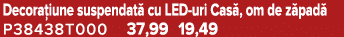 Decora iune suspendat cu LED uri Cas , om de z pad  P38438T000 37,99 19,49