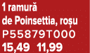 1 ramur de Poinsettia, ro u P55879T000 15,49 11,99