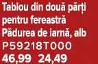 Tablou din dou p r i pentru fereastr  P durea de iarn , alb P59218T000 46,99 24,49