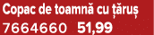 Copac de toamn cu   ru  7664660 51,99