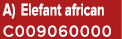 A) Elefant african C009060000