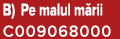 B) Pe malul m rii C009068000