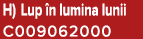 H) Lup n lumina lunii C009062000