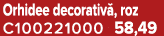 Orhidee decorativ , roz C100221000 58,49