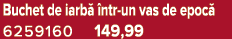 Buchet de iarb  ntr un vas de epoc  6259160 149,99